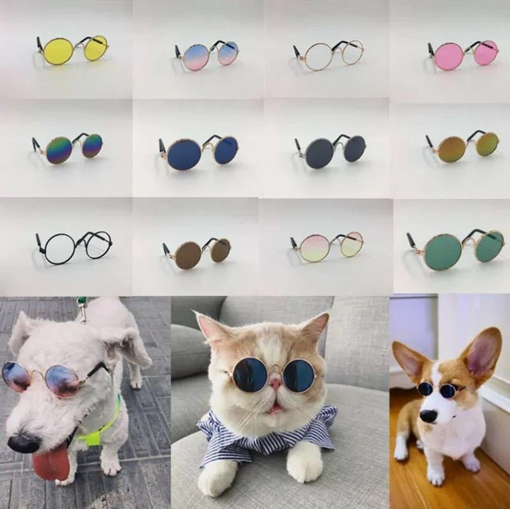 Round Glasses Pet Products Kitty Puppy Dog Sunglasses For Cats Accessories  Decor | eBay