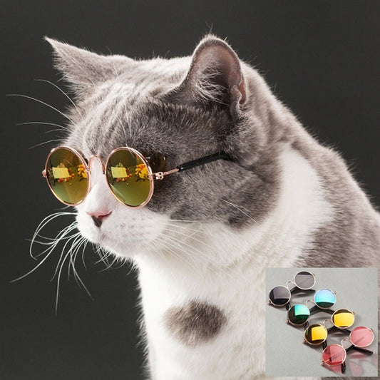 Chido Sunglasses for your Cat or Dog